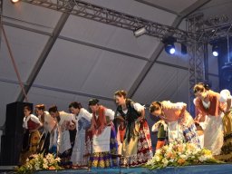 Festival de Folkore en Mula